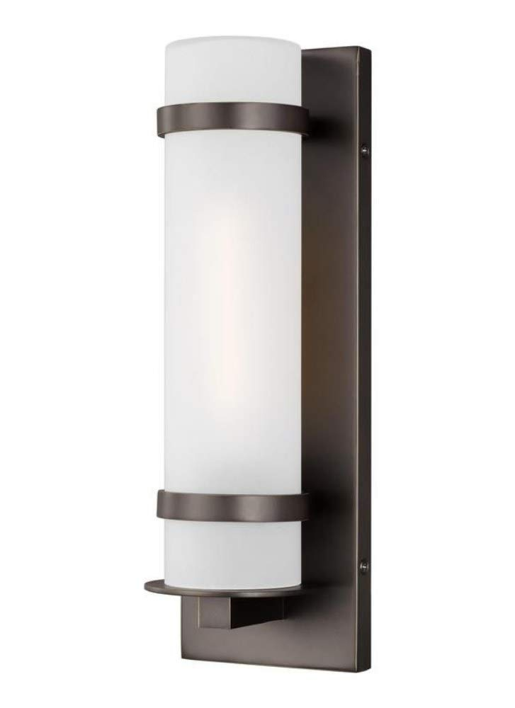 Alban Small 1-Light Antique Bronze Outdoor Wall Mount Cylinder
