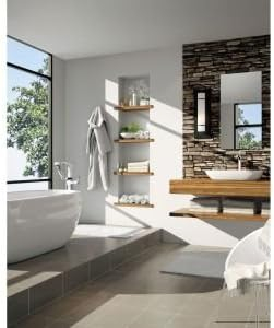 Tesla® Single hole Bathroom Faucet and Diamond Seal Technology