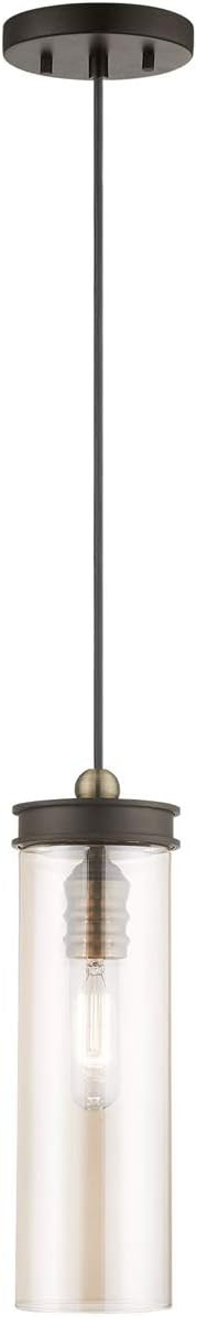 Livex Lighting Art Glass 1 - Light Pendant in  Bronze