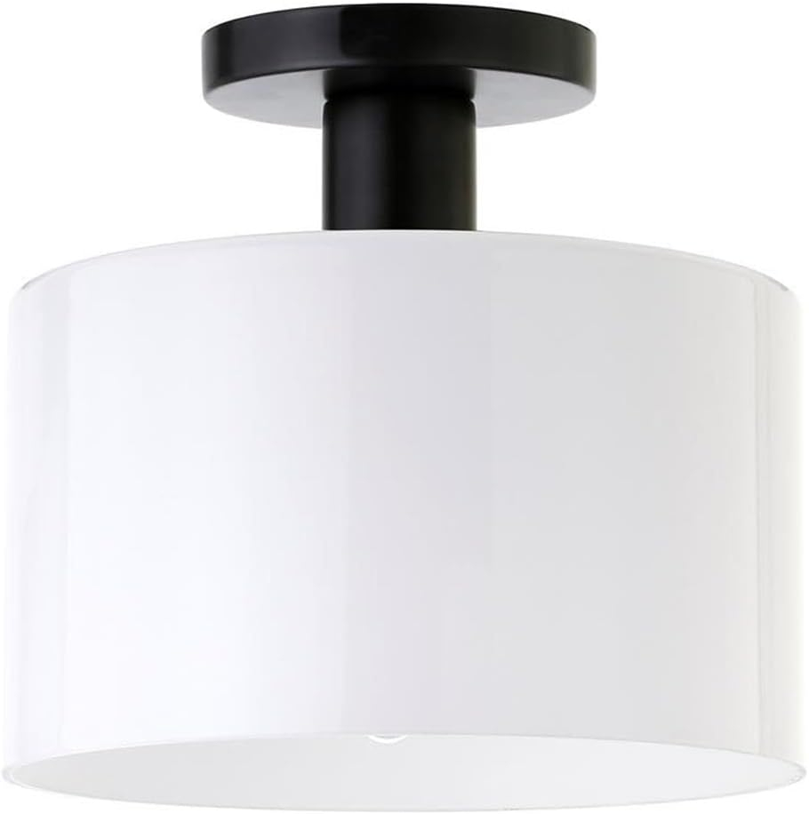 Evelyn&Zoe 10" Matte Black Metal/Glass Semi Flush Mount