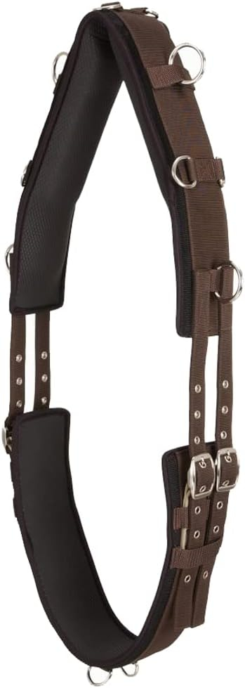 Brown Neoprene Lined Nylon Horse Training Surcingle