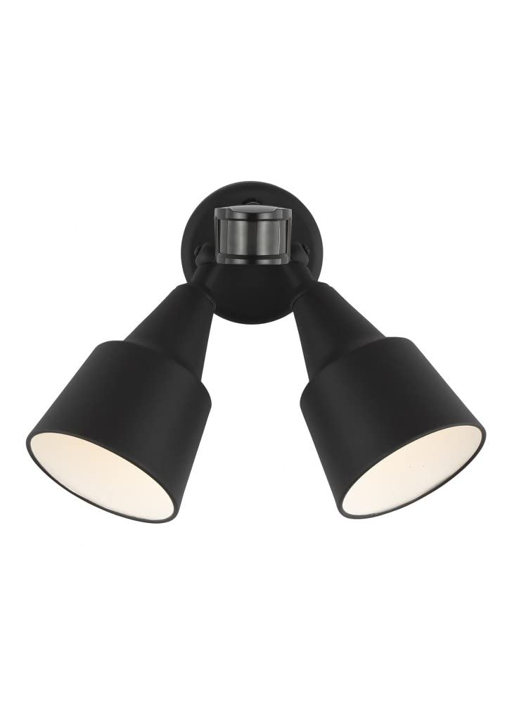 Metal Flood Light