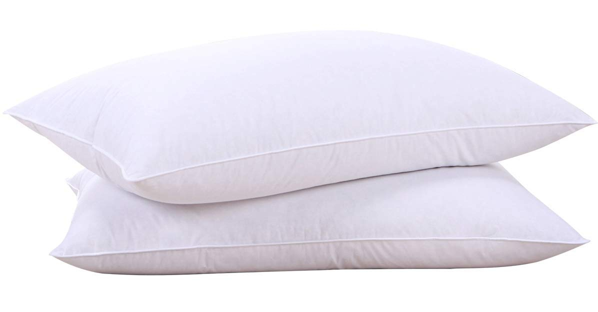 Peace Nest White Goose Feather and Down Pillow, Standard, Set of 2