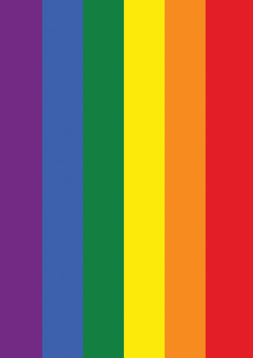Toland Home Garden Rainbow Pride LGBTQIA+ Pride Flag Double Sided 12x18 Inch