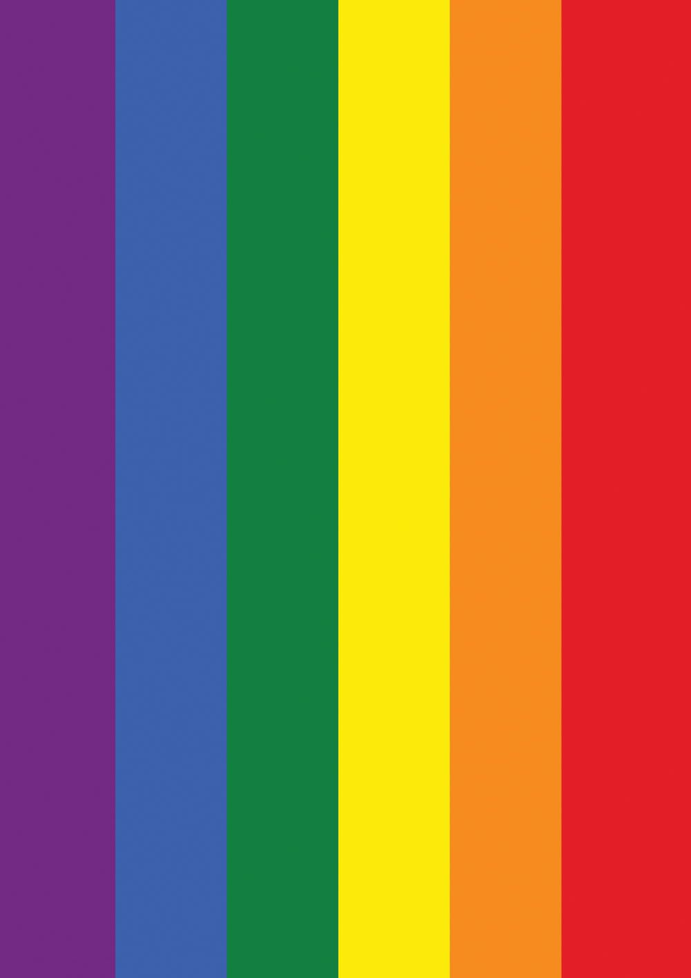 Toland Home Garden Rainbow Pride LGBTQIA+ Pride Flag Double Sided 12x18 Inch