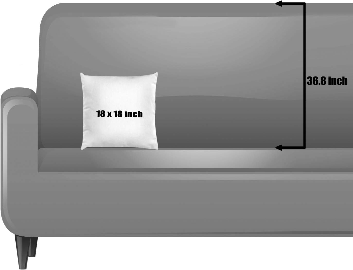 Ambesonne Indoor/Outdoor Reversible Pillow Cover