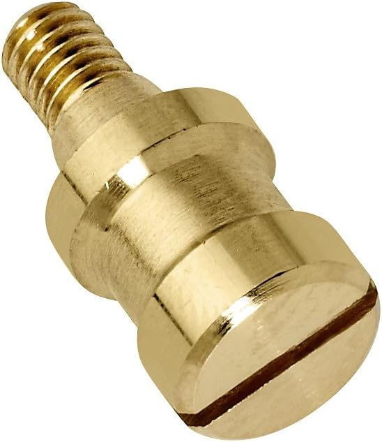 Mounting Screw