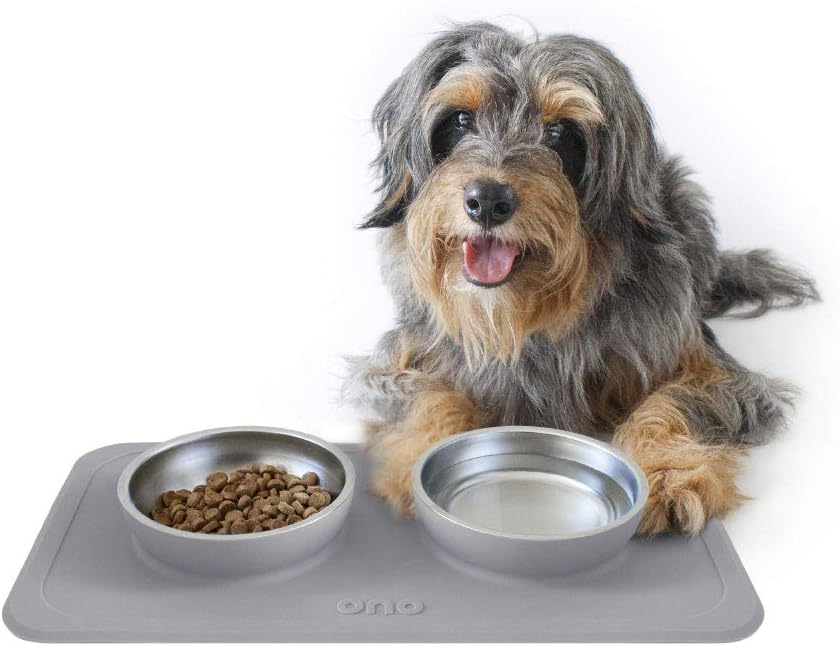 Ono Good Bowl Food & Water Double Feeder - Small to Medium Pets No Spill Non Skid Silicone Mat & Stainless Steel Bowl for Dogs or Cats (Charcoal)