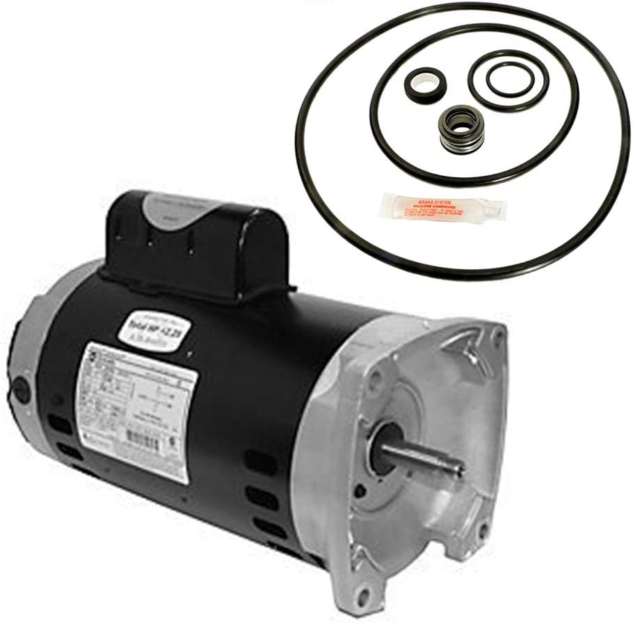 Puri Tech Motor Kit Sta-Rite Dura-Glas II 1.5HP P4R6F-188L SQ1152 w/GO-KIT-38