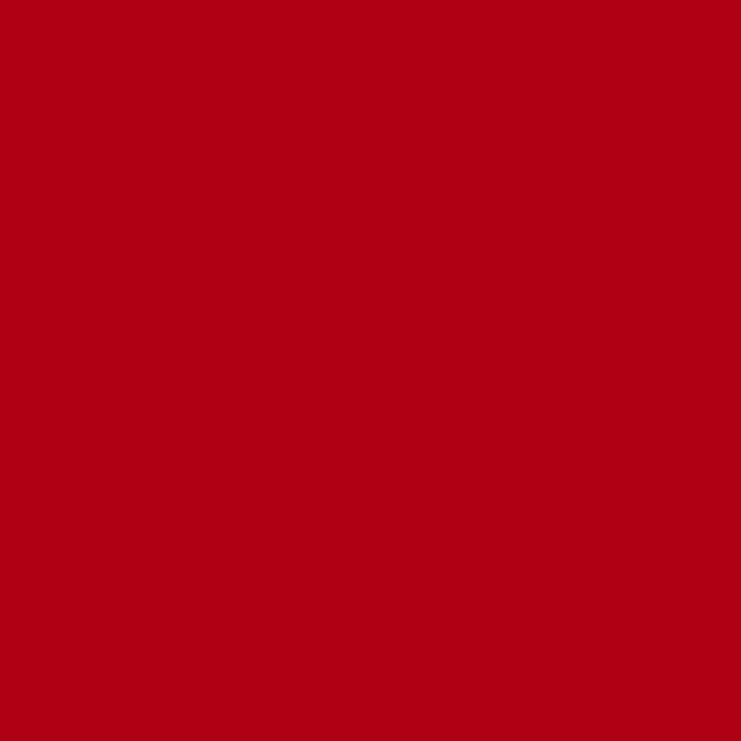 20-inch by 12-inch Double-corded Solid Twill Back Support Pillows with Inserts (Set of 2), Red