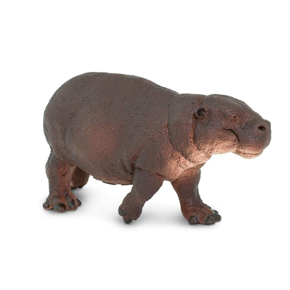 Safari Ltd. Pygmy Hippopotamus Figurine - Lifelike 3.25" Animal Figure - Educational Toy for Boys, Girls, and Kids Ages 3+