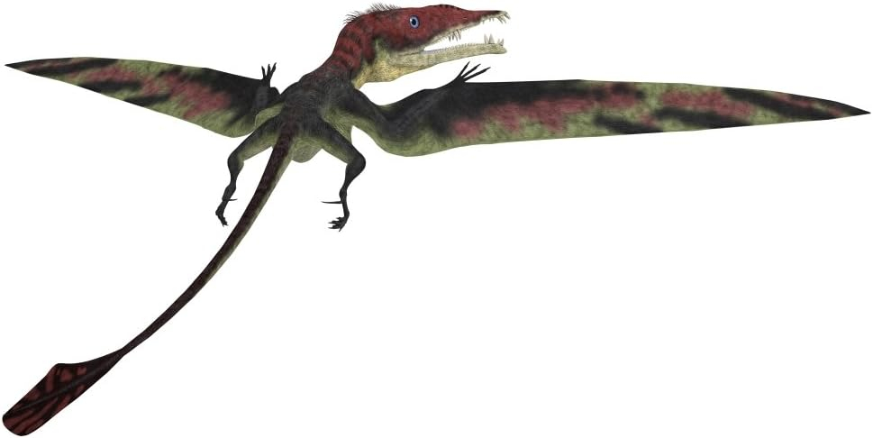 Eudimorphodon was a pterosaur that lived during the Triassic Period Poster Print (20 x 10)