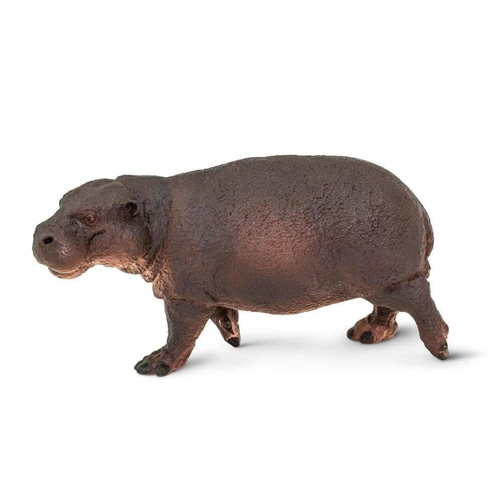 Safari Ltd. Pygmy Hippopotamus Figurine - Lifelike 3.25" Animal Figure - Educational Toy for Boys, Girls, and Kids Ages 3+
