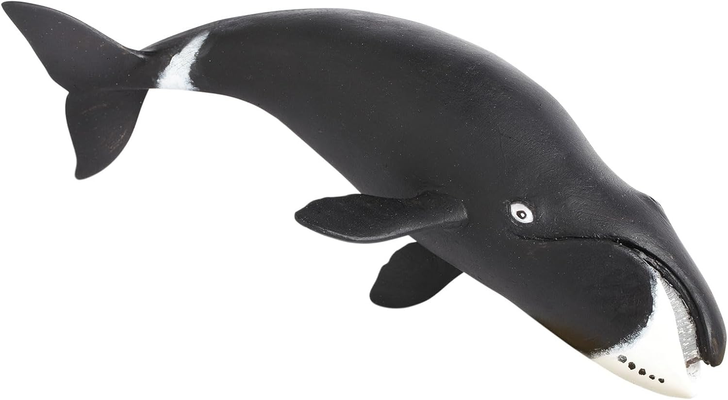 Safari Ltd. Bowhead Whale Figurine - Lifelike 8.25" Model Figure - Educational Toy for Boys, Girls, and Kids Ages 3+