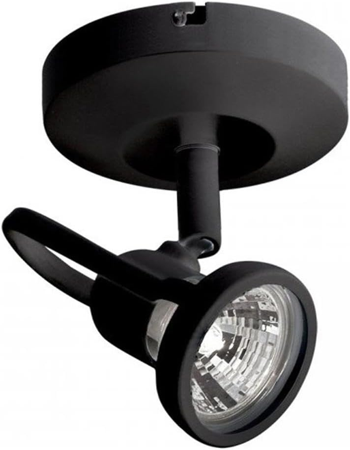 WAC Lighting 1 - Head LED Hardwired Outdoor Security Spotlight
