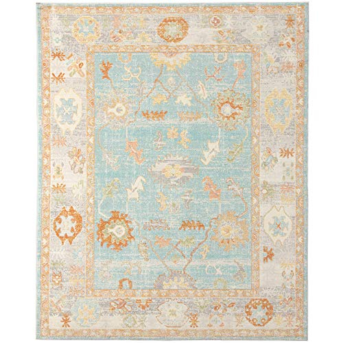 AMER Rugs Bohemian Gretna Collection, Indoor/Outdoor Aqua 9x12 Area Rug, Rugs for Living Room, Bedroom, Dining Room, Kitchen - Aqua/Beige
