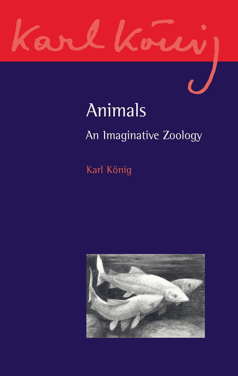 Animals - (Karl Konig Archive) by  Karl Konig (Paperback)