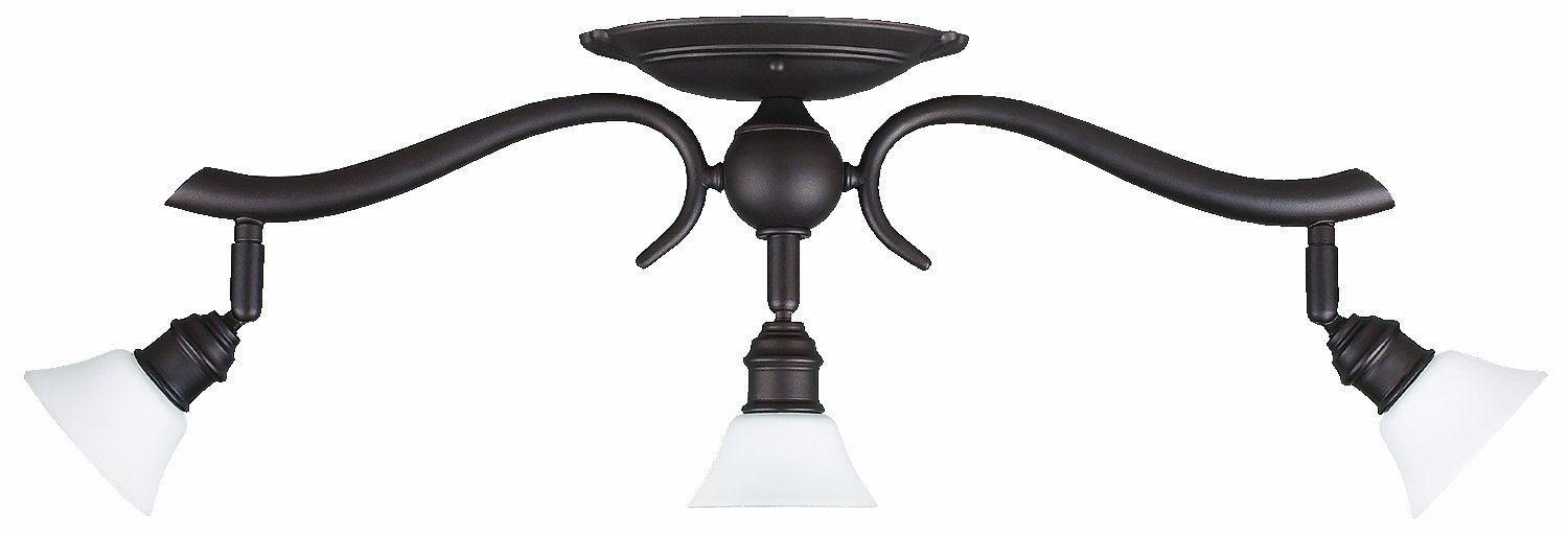 Addison 23.5'' Oil Rubbed Bronze Track Lighting with White Opal Glass