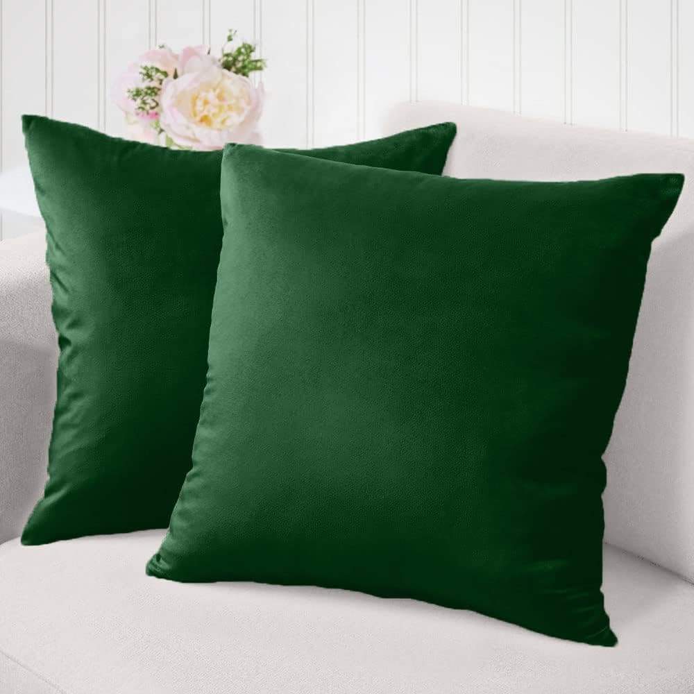 Nmkwnr 2 Pack Soft Velvet Throw Pillow Covers Solid Square Pillow Cases Modern Cushion Covers Case for Sofa Car Office Living Room, 18x18inch