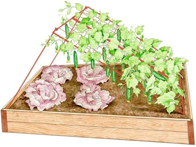 Gardener's Supply Company Cucumber Trellis | Garden Bed Support for Cucumbers & Climbing Plants | Outdoor Plant Support w/ 4" Grids for Easy Harvesting | 32" x 48" - Medium (Red)