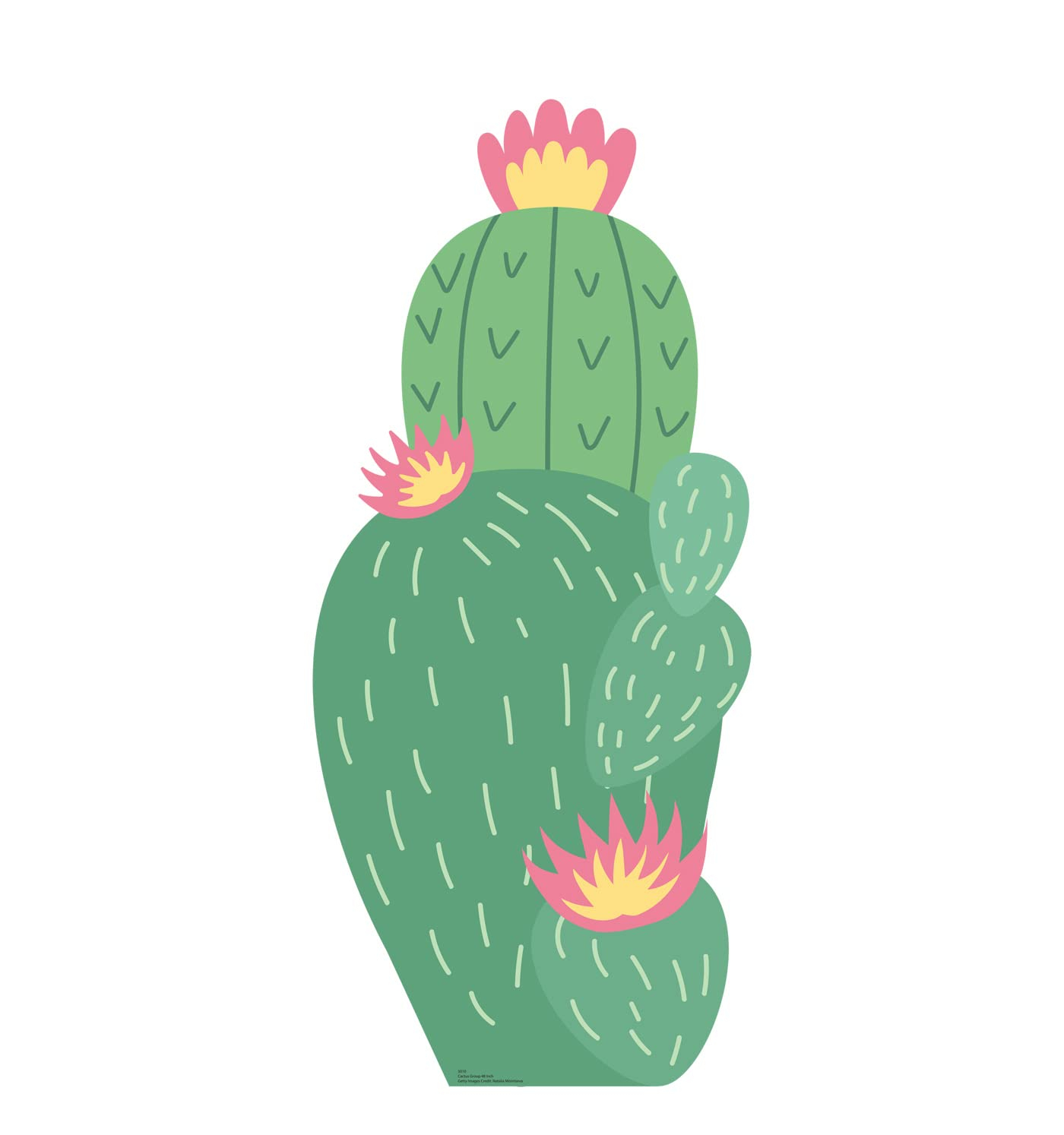 Advanced Graphics 5010 48 in. Cactus Group Cardboard Cutout