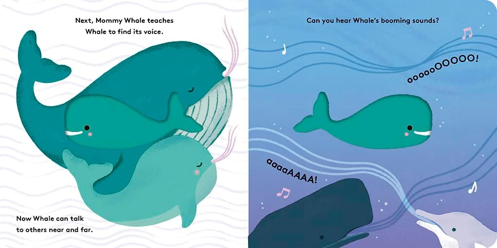Whale - (Little Life Cycles) by  Maggie Li (Board Book)
