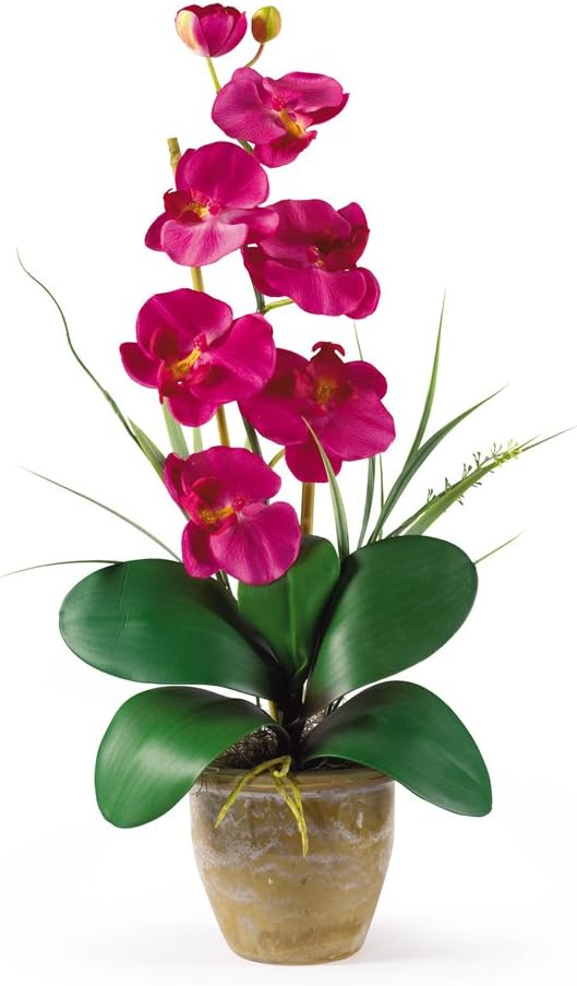 Nearly Natural Phalaenopsis Silk Orchid Flower Arrangement, Beauty