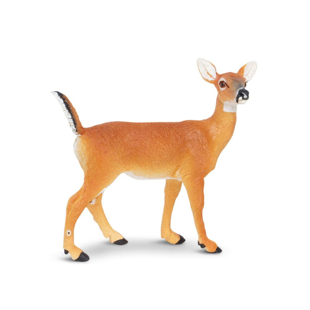 Safari Ltd. Whitetail Doe Figurine - Lifelike 4.3" Model Figure - Educational Toy for Boys, Girls, and Kids Ages 3+
