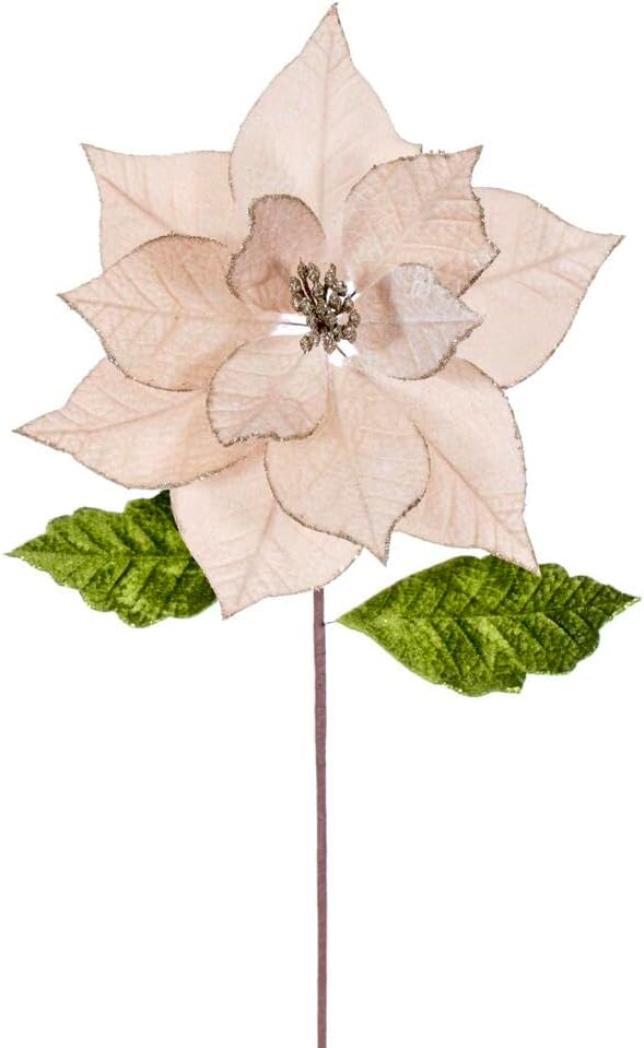 Vickerman 12" x 20" Champagne Classic Velvet Poinsettia Stem. It Includes Four Pieces per Bag.