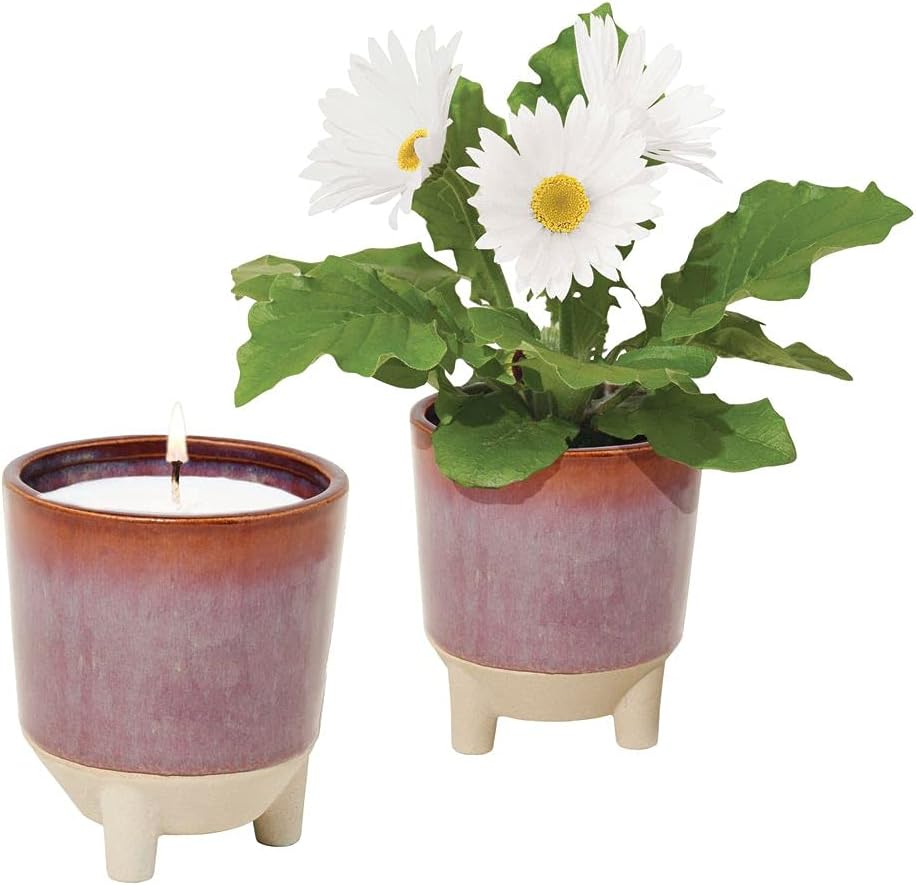 Wildflower Fields Ceramic Candle and Daisy Grow Kit