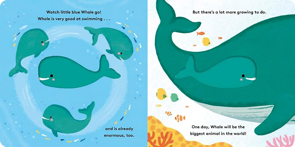 Whale - (Little Life Cycles) by  Maggie Li (Board Book)