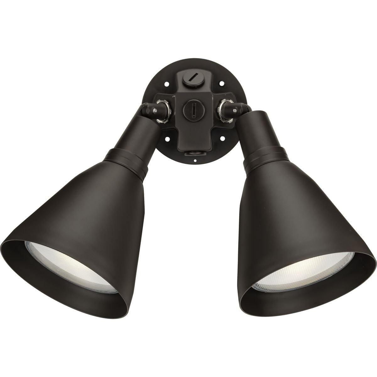 Progress Lighting Par 2-Light Outdoor Wall Light, Antique Bronze, Porcelain, Shade Included