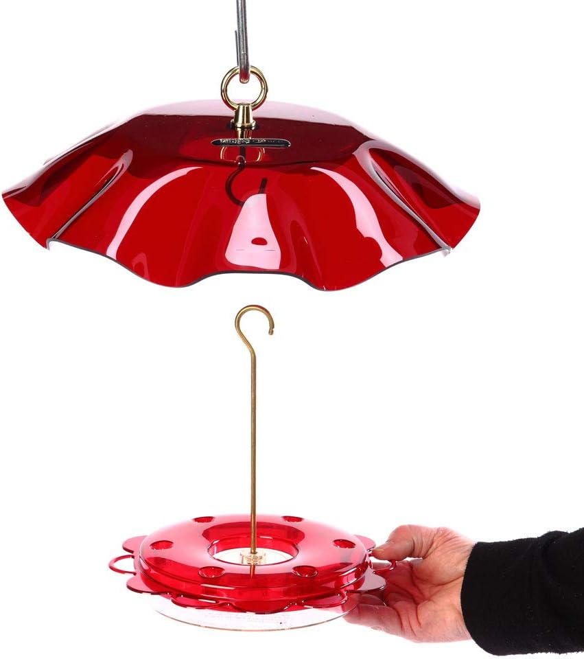 Birds Choice NP1007 Hummerfest Bird Feeder w/ Weatherguard, Hummingbird Nectar Feeder with Ant Moat, 12oz Capacity, Red
