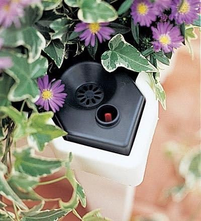 White Polyethylene Planter with Trellis and Self-Watering Reservoir