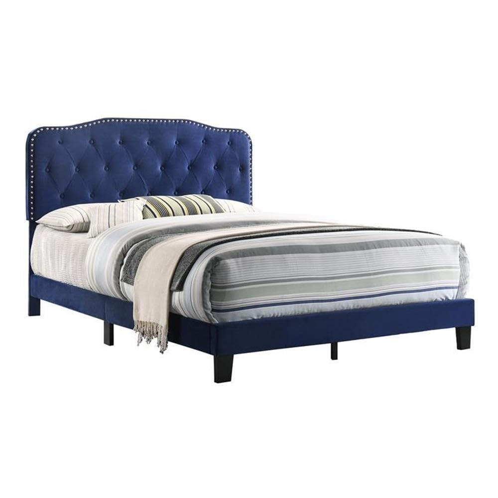 Roy Navy Blue Velvet Upholstered Full Panel Bed