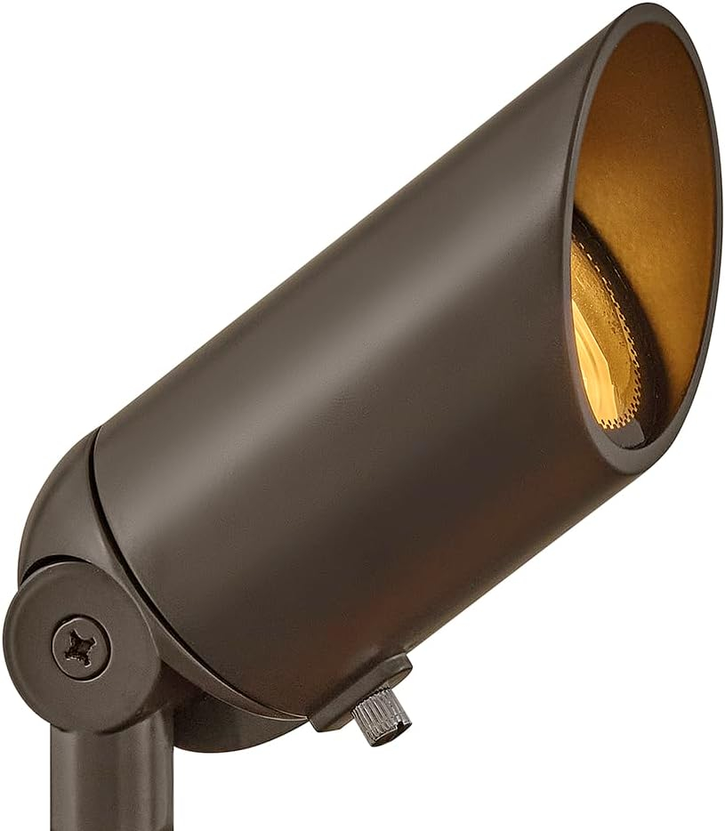 Bronze Low Voltage LED Outdoor Spot Light with Clear Lens