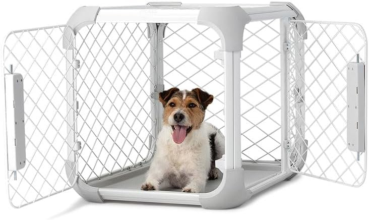 DIGGS 24" Evolv Dog Crate - Safe, Durable Kennel with Removable Ceiling Panel and Modular - Ash