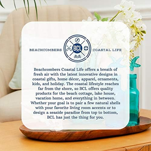Beachcombers Turtle Curl Wave Figurine