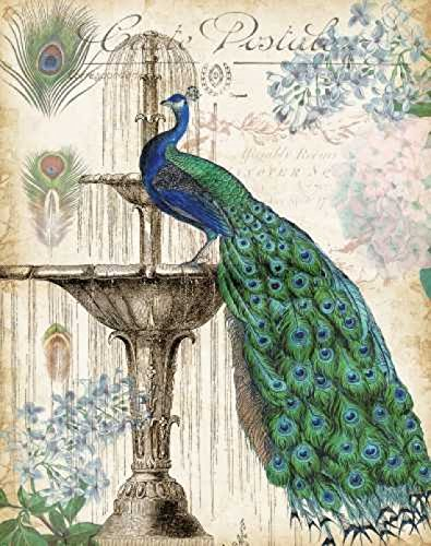 Vintage Peacocks II 11 x 14 Poster Print