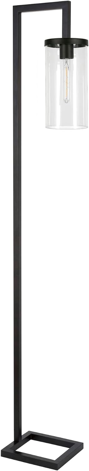 Evelyn&Zoe Malva 67.75" Tall Floor Lamp with Glass shade in Blackened Bronze/Clear