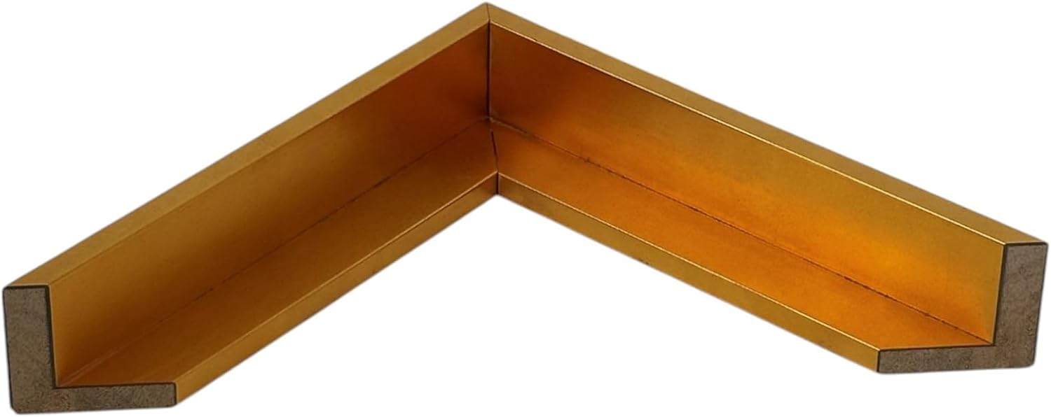 Gold Floater frame for 1.5" deep canvas, (multiple sizes) (11x14")