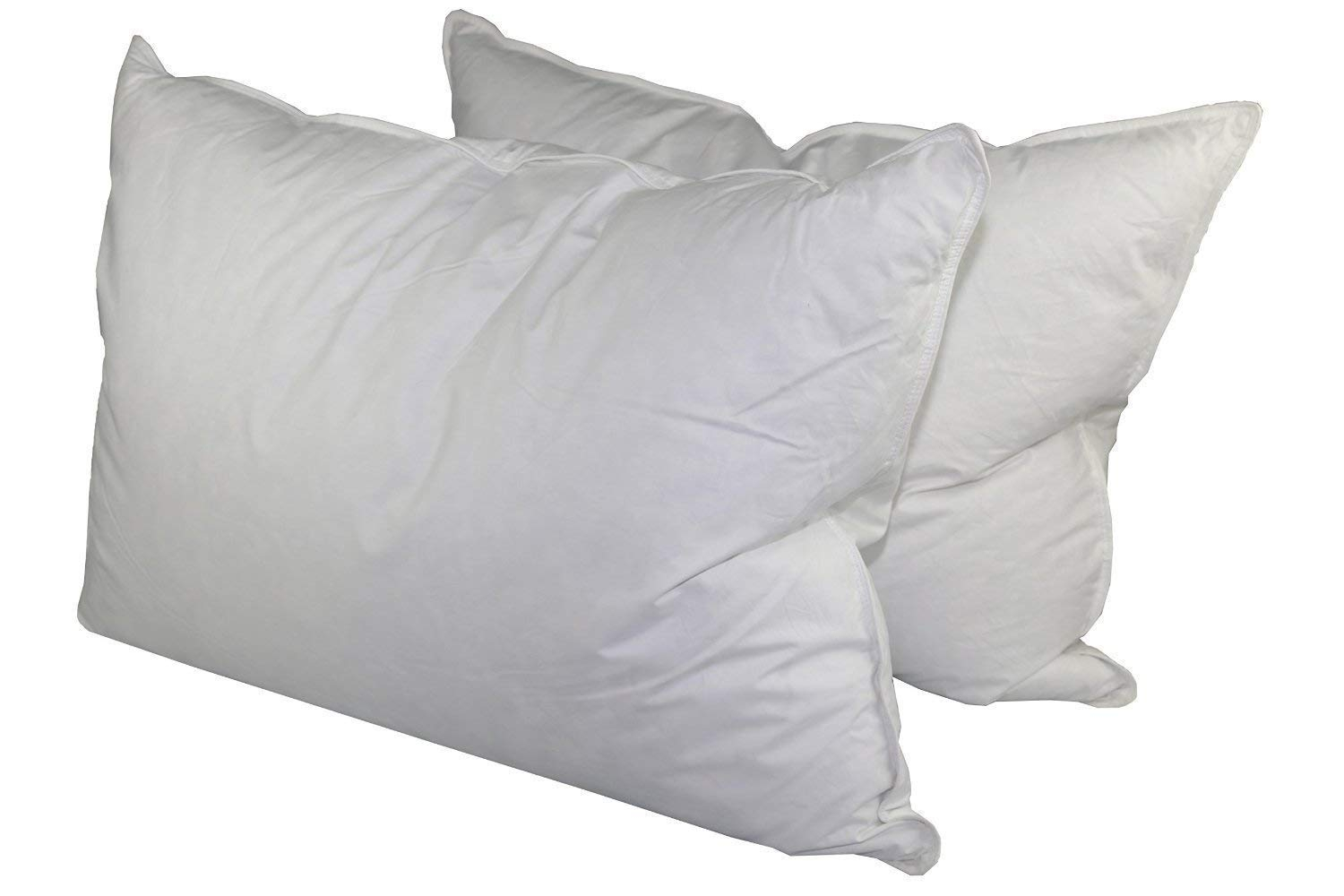 Down Dreams Classic Jumbo Pillow Set of 2