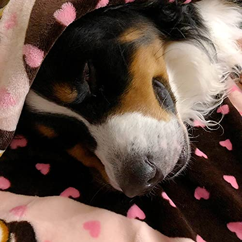 Snuggle Puppy Blanket for Pets - Extra Soft and Long Lasting - Pink Pattern