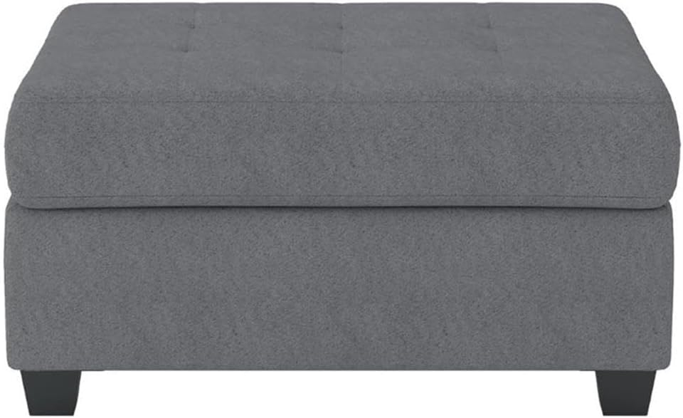 Lexicon Maston Microfiber Ottoman with Storage in Chocolate