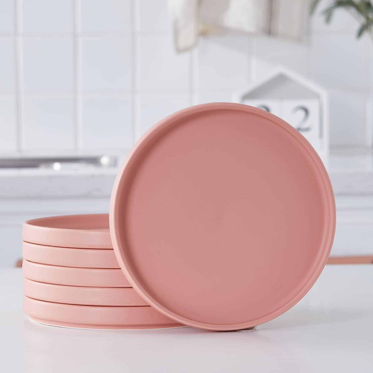 Stone + Lain Stella Porcelain Collection Dish Set, 6 Salad Plates Service for 6, Terracotta