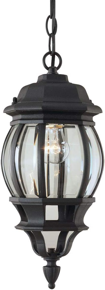 Forte Lighting 1702-01 Outdoor Pendant From The Exterior Lighting Collection - Black