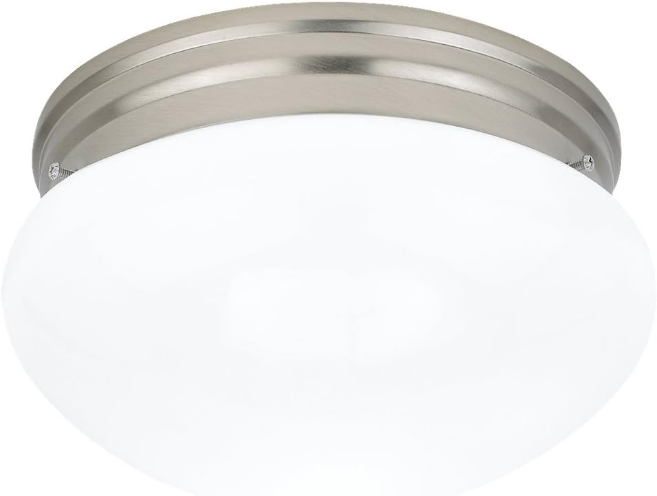 Sea Gull Lighting Generation 5328-962 Traditional Two Light Flush Mount from Seagull-Webster Collection in Pewter, Silver Finish, 9.80 inches, Brushed Nickel