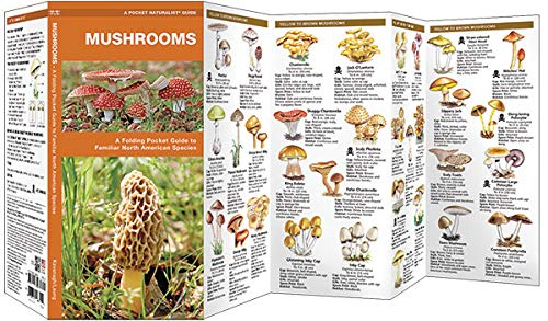 Pocket Naturalist Guides: Mushrooms: An Introduction to Familiar North American Species (Other)