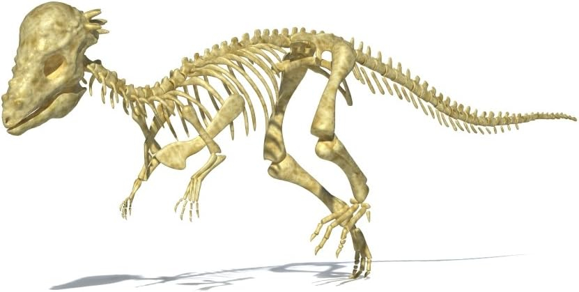 Posterazzi 3D rendering of a Pachycephalosaurus dinosaur skeleton perspective view Poster Print, (18 x 11)