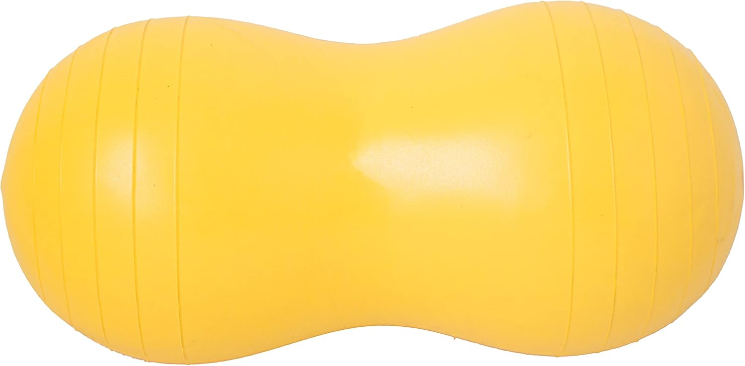 Fun and Function - Peanut Ball for Kids - Balance Ball for Kids with Special Needs - for Exercise, Therapy or Dynamic Seating